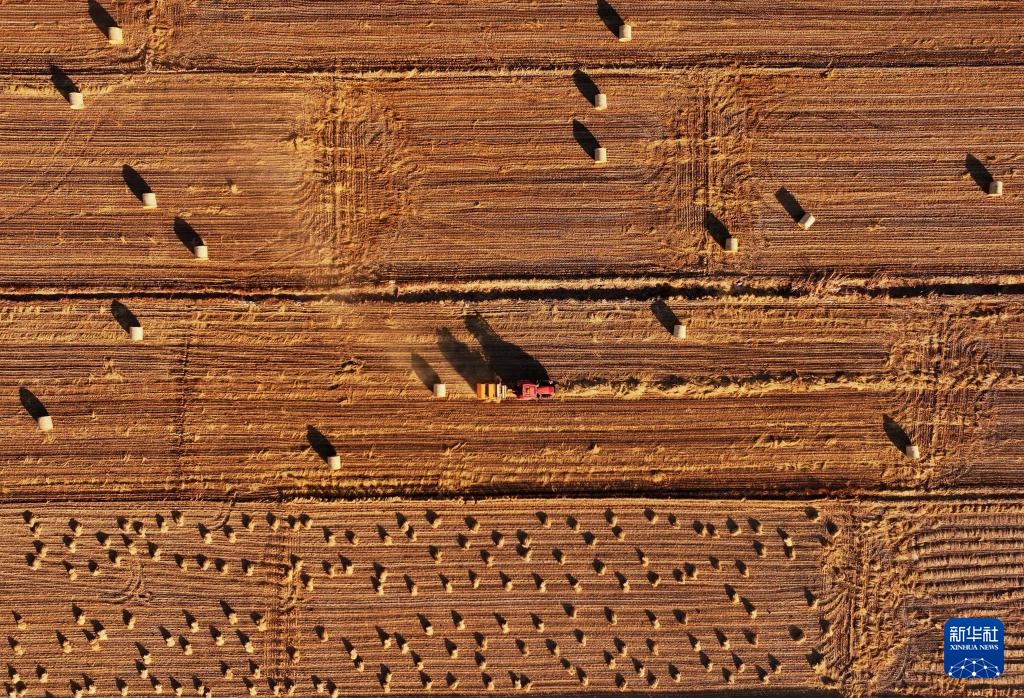 河北丰南：秸秆回收 助农增收