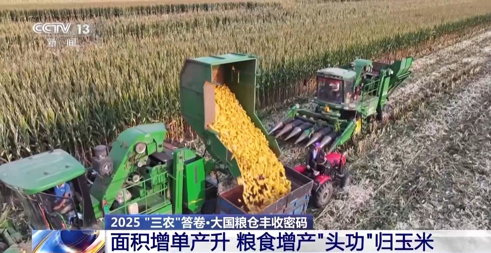 1.43万亿斤！为何今年全国粮食产量再创新高？