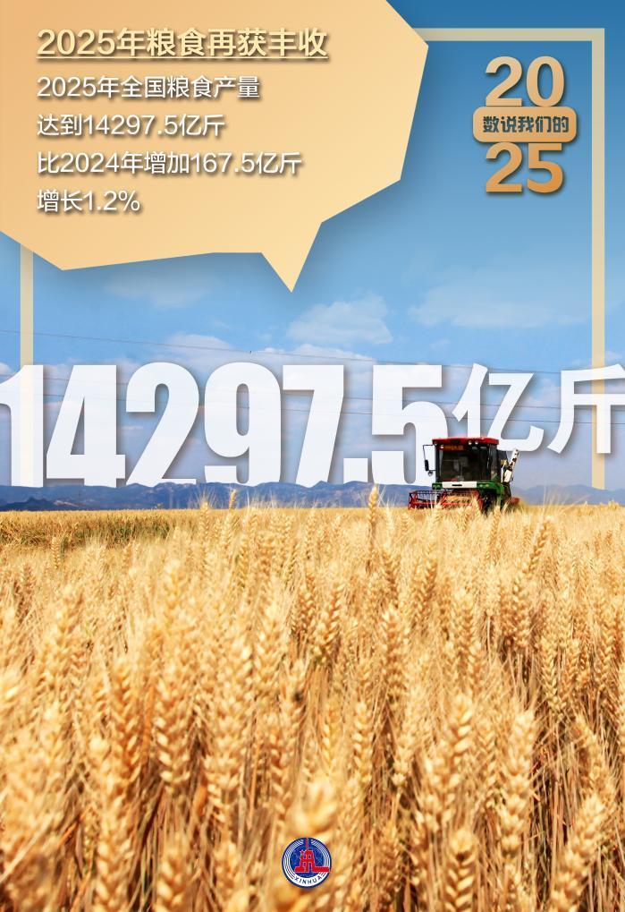 2025“三农”成绩单丨精耕良田提质效 厚植沃野育新机