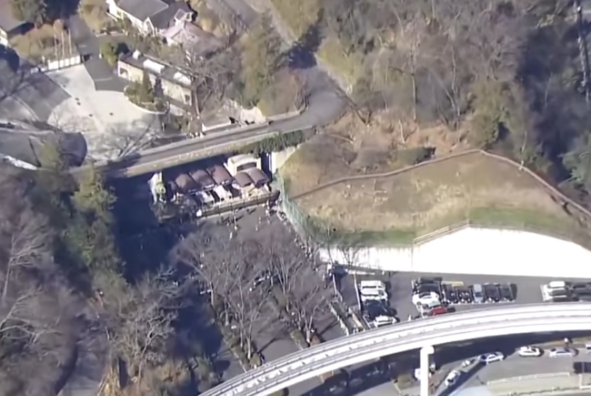 日本一动物园发生狼逃脱事件，已暂停游客入园