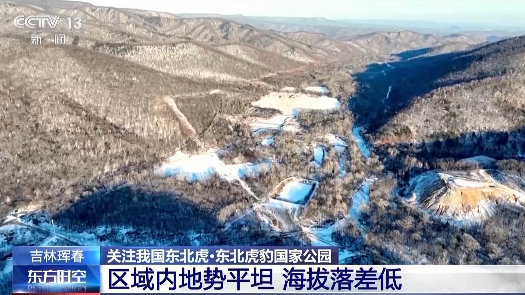 我国首次记录一虎带五崽 这里的东北虎为何如此“多产”？