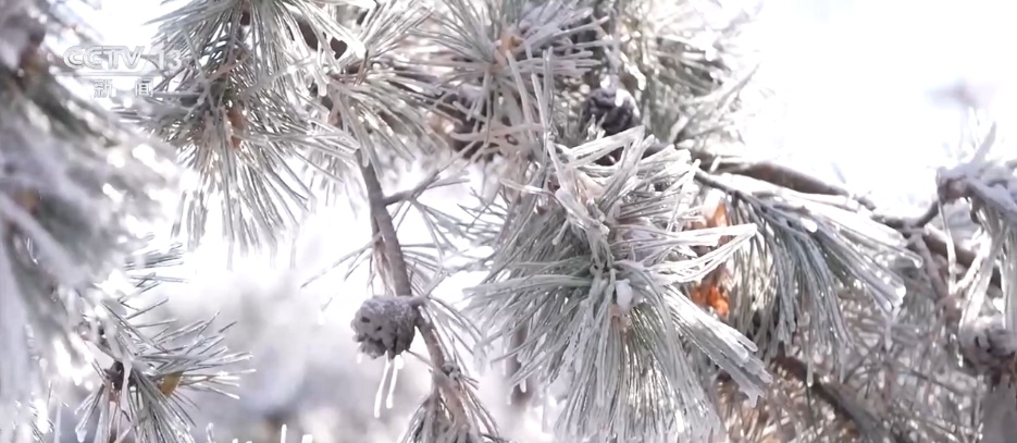 各地特色活动精彩纷呈 “非遗民俗+文旅消费”拉满节日氛围感