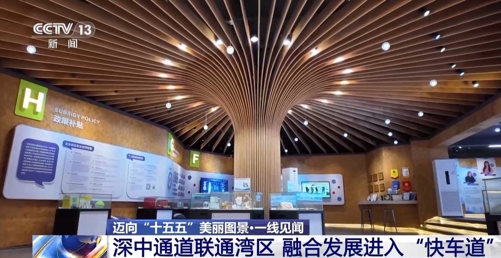 一线见闻丨一条通道串联三大都市圈 大湾区融合发展进入“快车道”