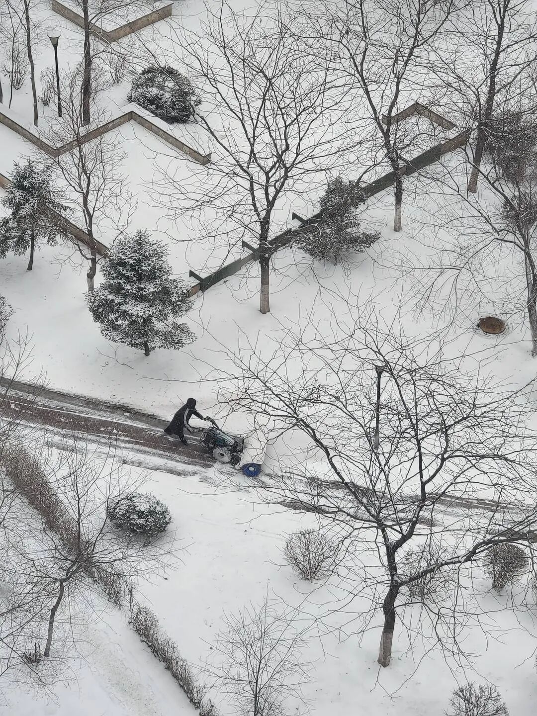 今天多地有雪！辽宁2025最后一天会很冷……