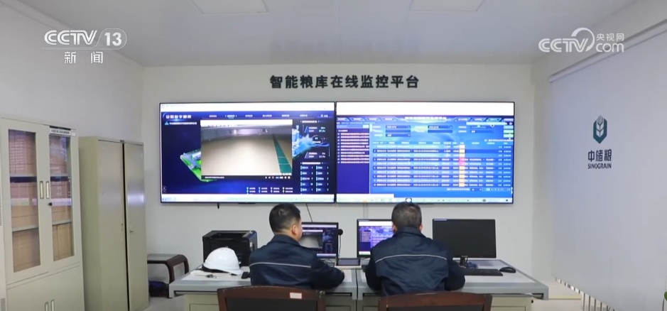 进度快、市场活、价格涨 秋粮收购进入旺季 数据推动粮食工作高效有序