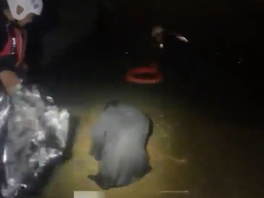 事发厦门同安，一女子深夜跳海轻生，紧急救援！