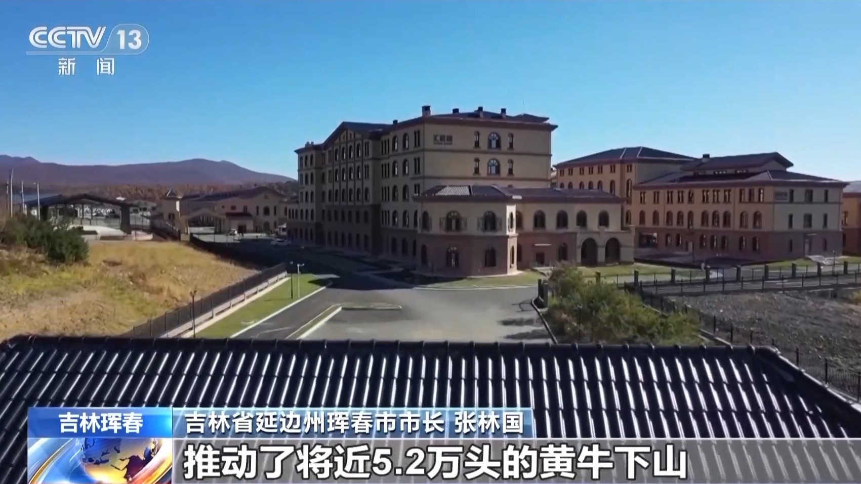 我国首次记录一虎带五崽 这里的东北虎为何如此“多产”？