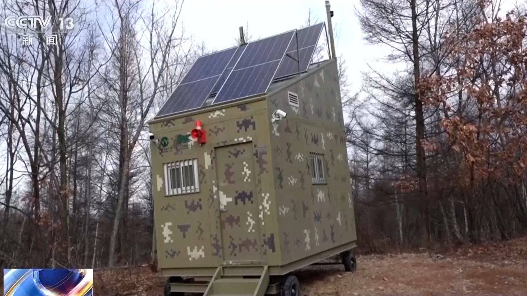 我国首次记录一虎带五崽 这里的东北虎为何如此“多产”？