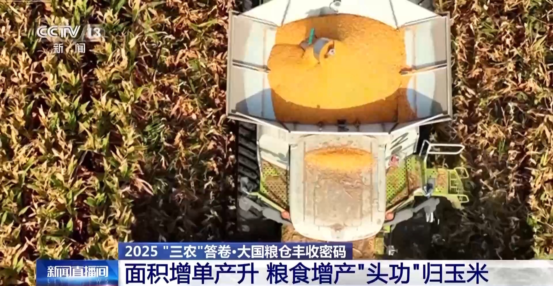 1.43万亿斤！为何今年全国粮食产量再创新高？