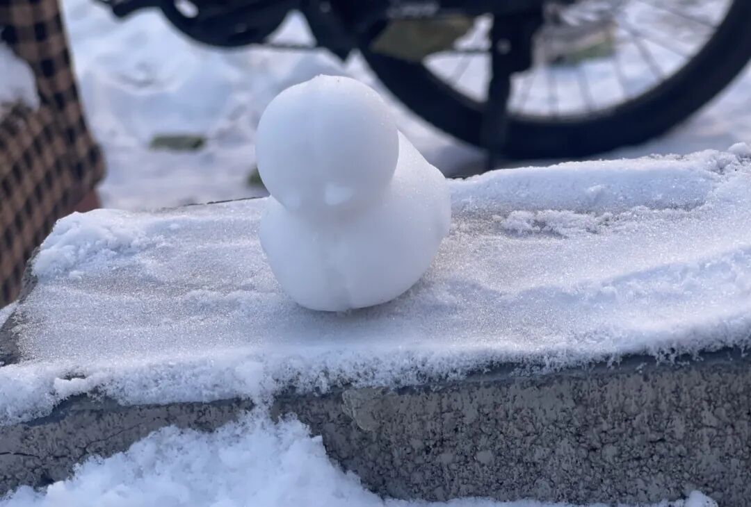 2025年余额不足，雪，已悄悄埋下伏笔