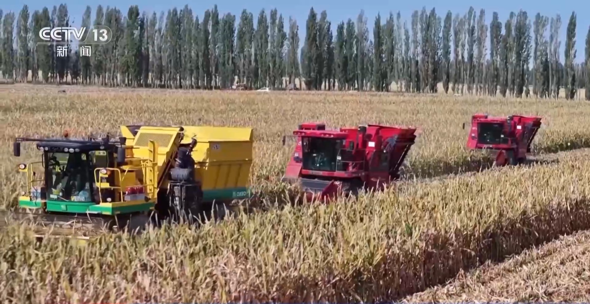 1.43万亿斤！为何今年全国粮食产量再创新高？