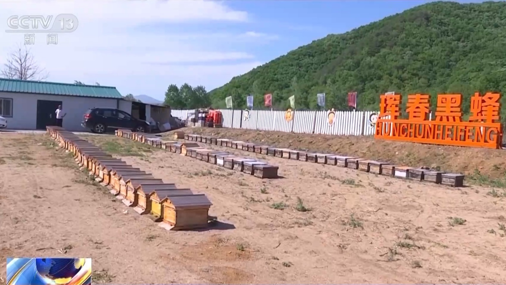 我国首次记录一虎带五崽 这里的东北虎为何如此“多产”？