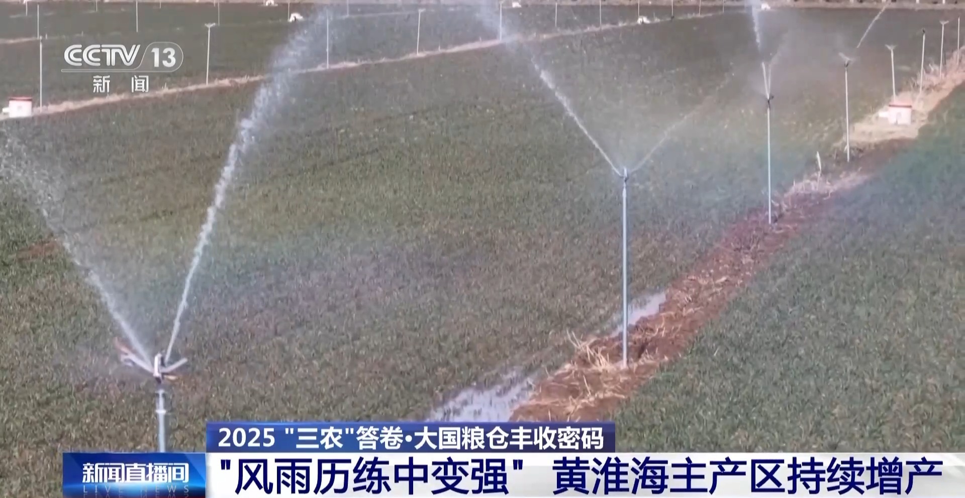 1.43万亿斤！为何今年全国粮食产量再创新高？