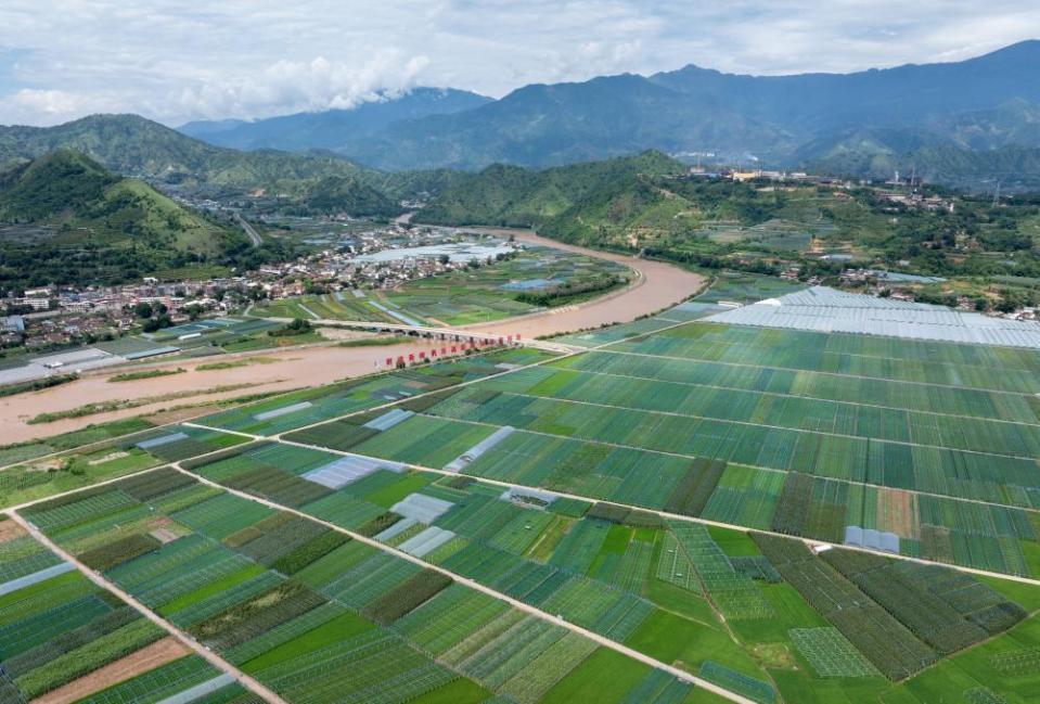 2025“三农”成绩单丨精耕良田提质效 厚植沃野育新机