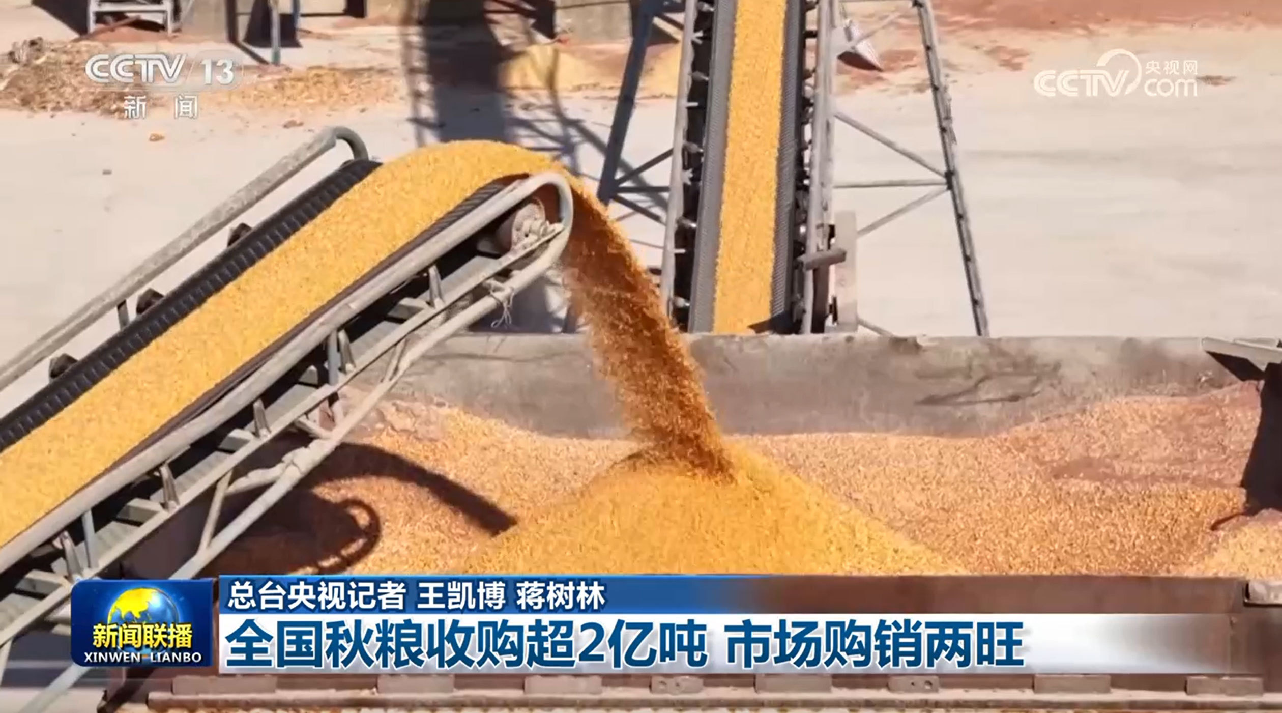 全国秋粮收购超2亿吨 市场购销两旺 全国秋粮收购超2亿吨 市场购销两旺