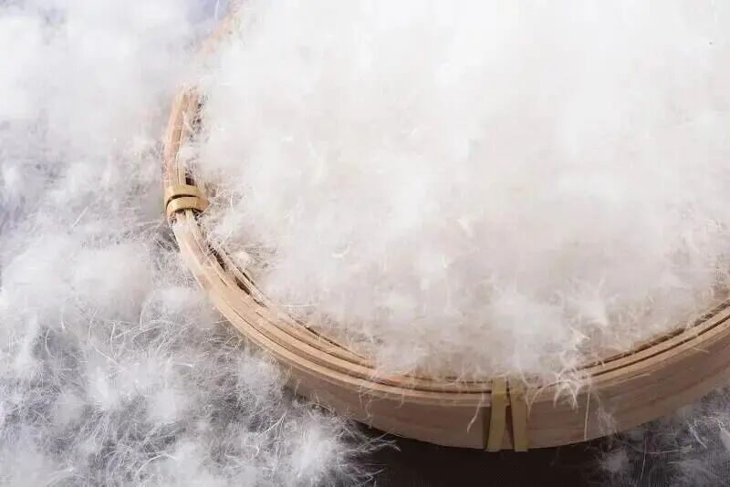 每天穿羽绒服12小时，男子突然呼吸衰竭！啥情况？