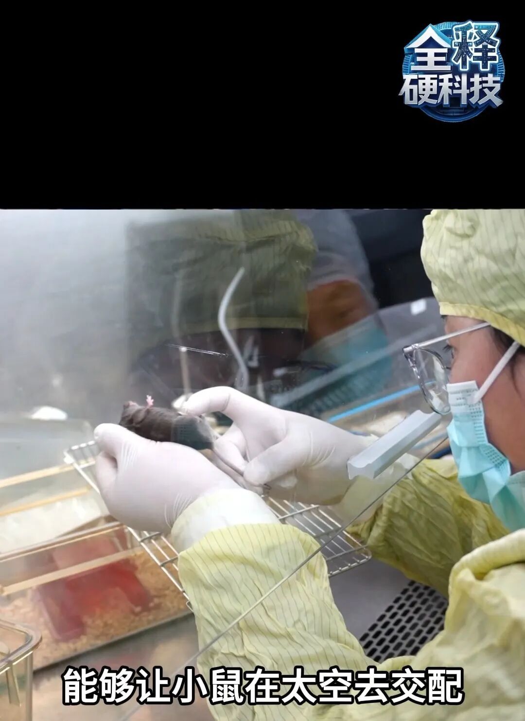 好消息传来，它们“恋爱生子”啦