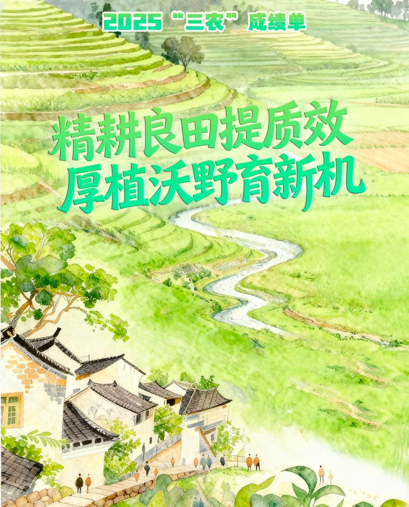 2025“三农”成绩单丨精耕良田提质效 厚植沃野育新机