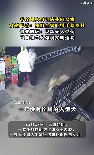 未拴绳大狗进店扑向女童！明年起，遛狗不拴绳可拘10天罚1000元