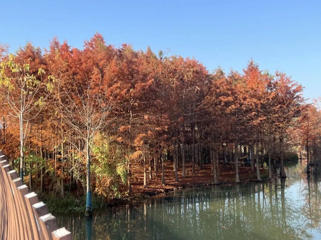 确认了：已抵达杭州，连续3天！戴口罩，戴口罩！