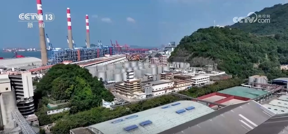 港口→工厂→仓库 “聪明”供应链丰富大湾区“双节”餐桌