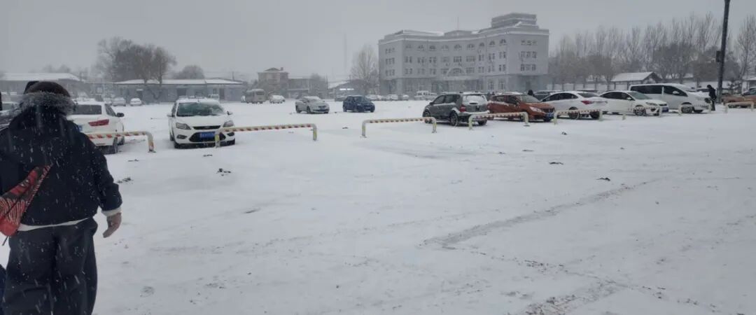 “奶奶喜丧，能来送送最后一程吗？”哈尔滨女子因朋友少谦卑求助，众多网友冒大雪赶来