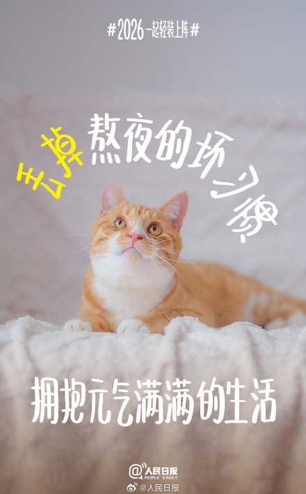 迎接2026！从一场温柔的告别开始