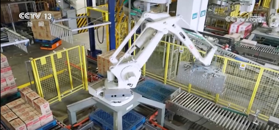 港口→工厂→仓库 “聪明”供应链丰富大湾区“双节”餐桌