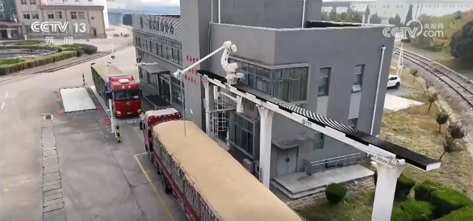 进度快、市场活、价格涨 秋粮收购进入旺季 数据推动粮食工作高效有序