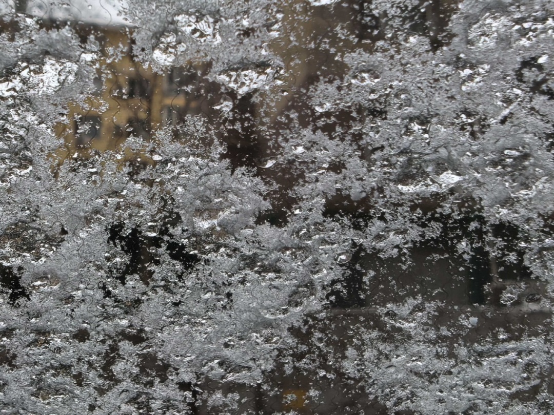 今天多地有雪！辽宁2025最后一天会很冷……