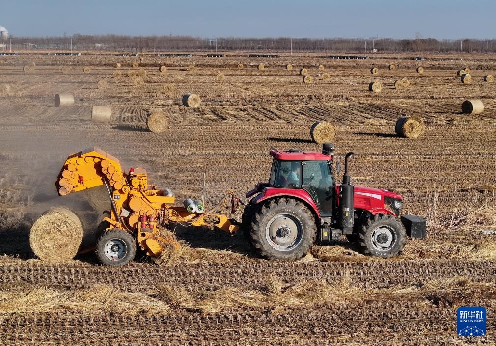 河北丰南：秸秆回收 助农增收