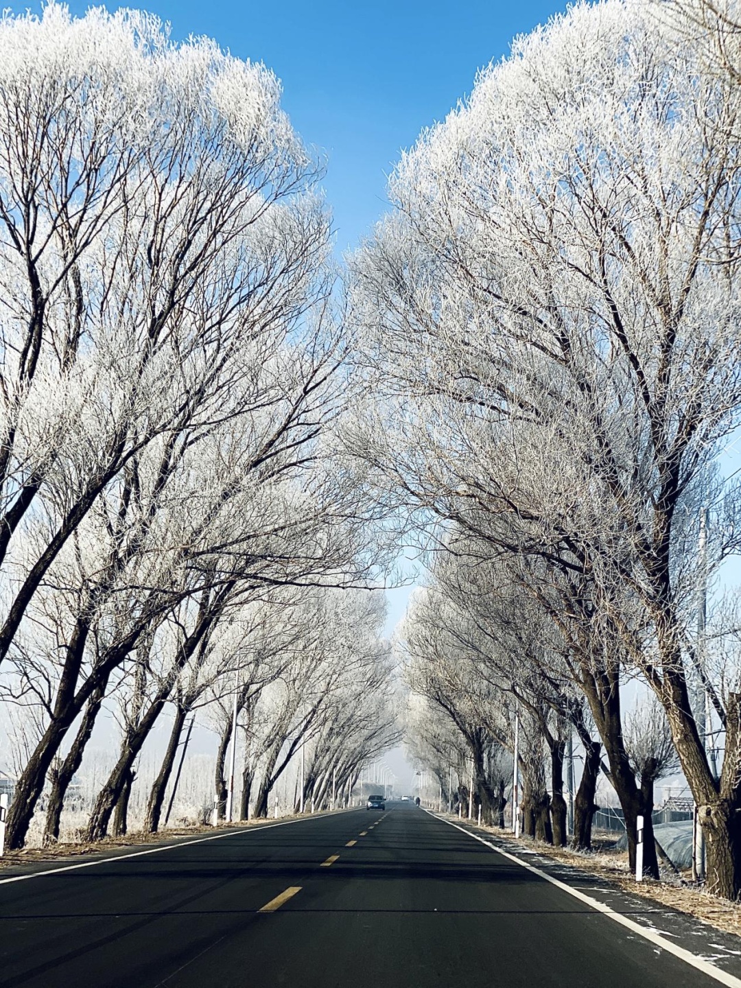 寒潮预警！2025年最后3天，一天比一天冷！