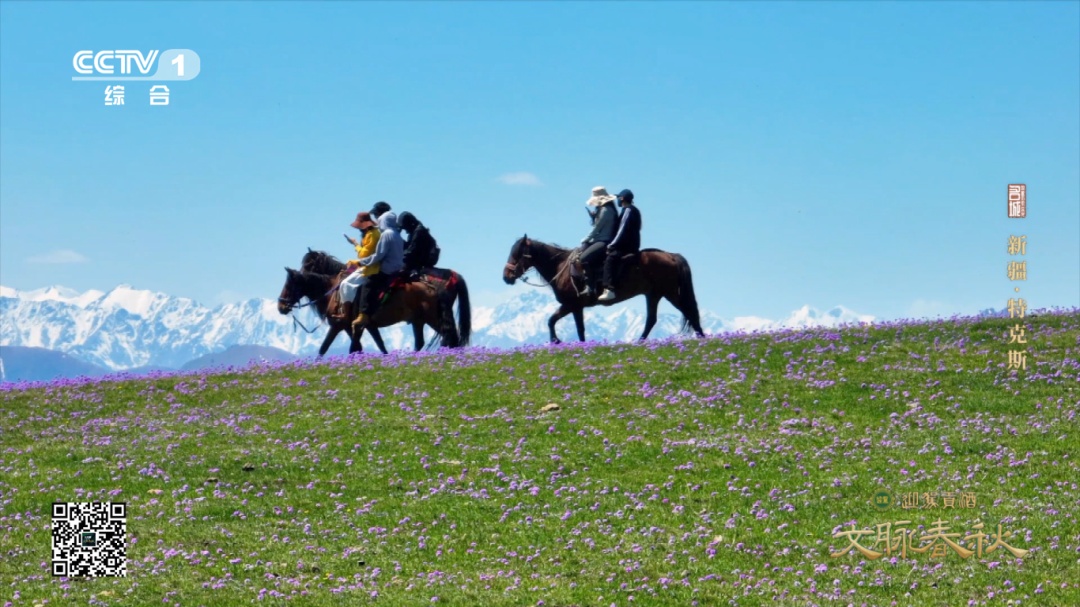 新疆特克斯：天山深处的八卦城