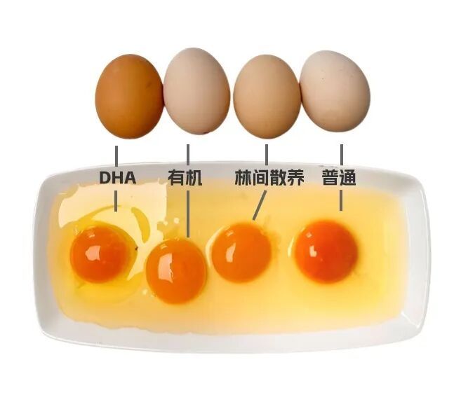 蛋黄颜色深≠营养高！一文说清买鸡蛋的关键，别再为颜色花冤枉钱！
