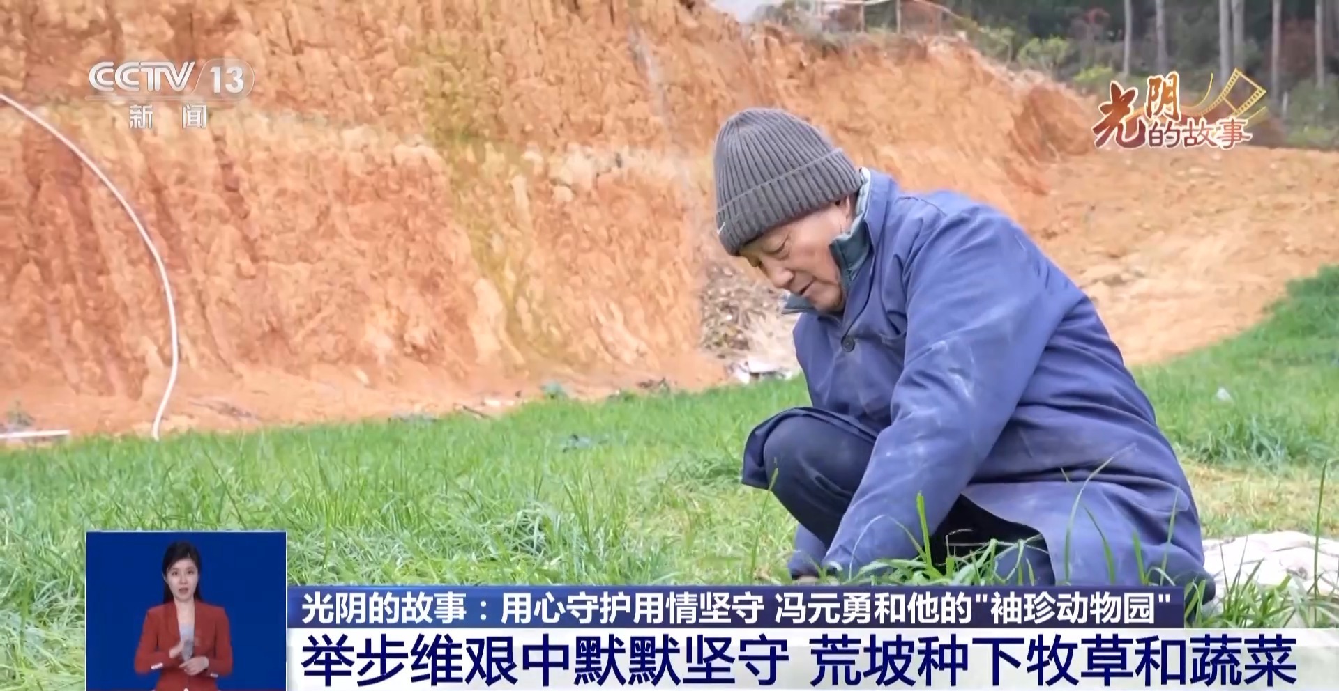 从默默无闻到圈粉无数 山林角落的“袖珍动物园”成了远近闻名的打卡地