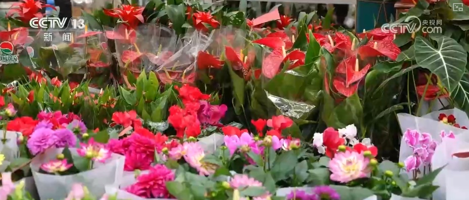 “鸿运当头”“幸福到来”鲜切花供销两旺 美丽经济“红火”出海开辟大市场