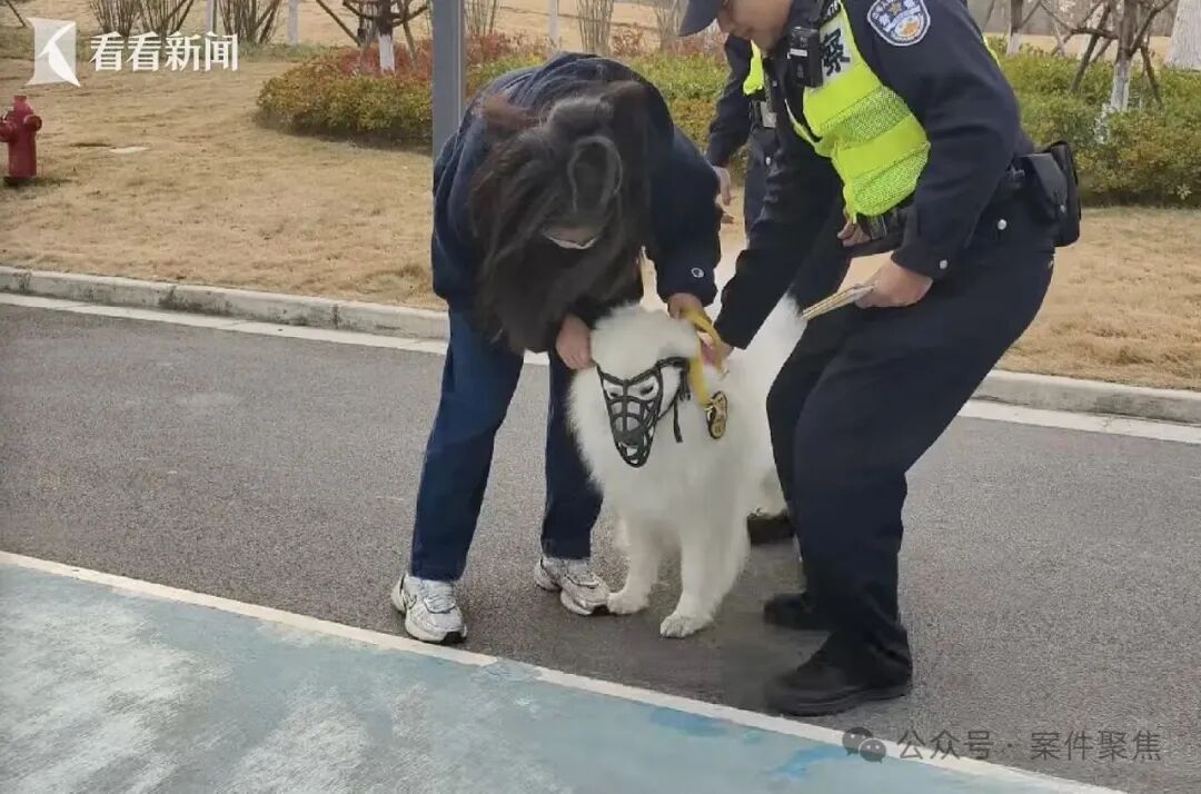 下月起实施， 这一行为最高可拘留10天罚1000元