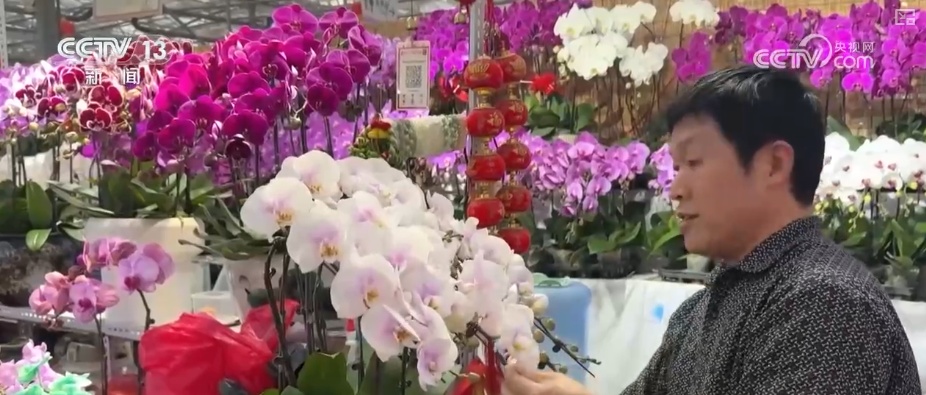 “鸿运当头”“幸福到来”鲜切花供销两旺 美丽经济“红火”出海开辟大市场