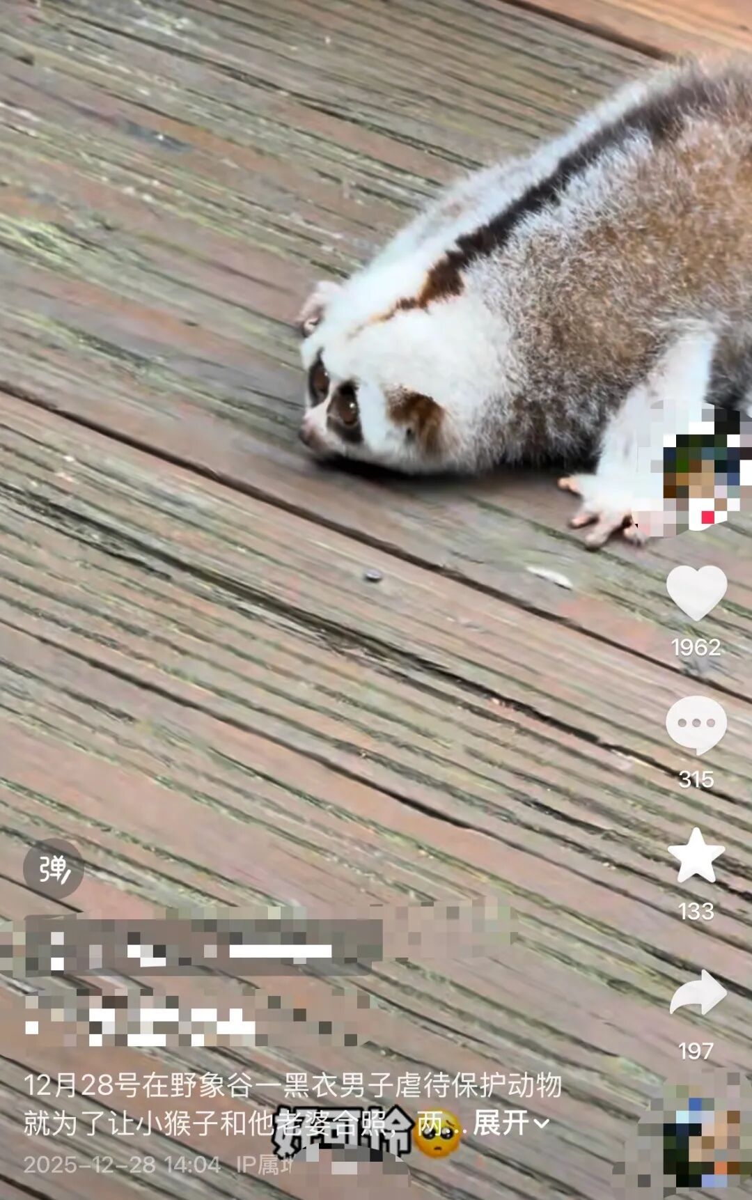 为给老婆拍照？男子摔落一级保护动物