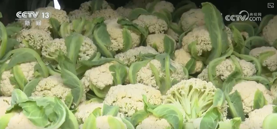 元旦假期“米袋子”“油瓶子”“菜篮子”供应物丰价稳、市场购销两旺