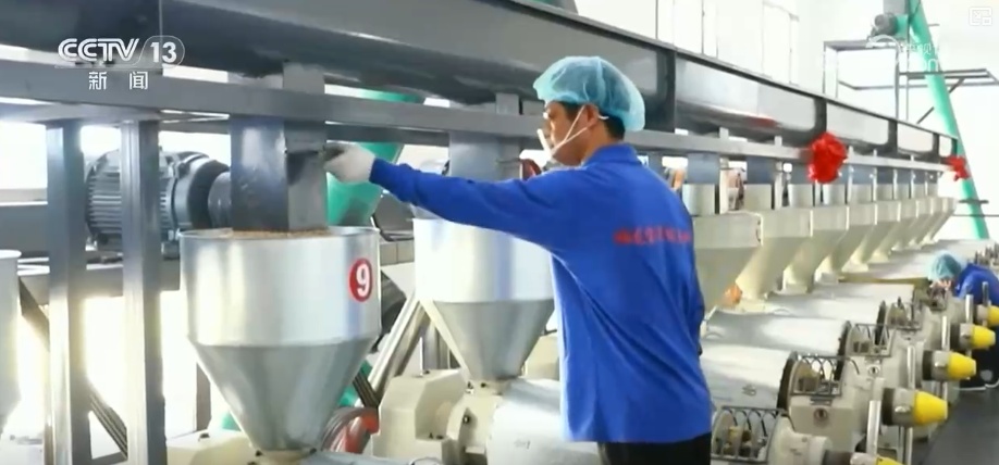 元旦假期“米袋子”“油瓶子”“菜篮子”供应物丰价稳、市场购销两旺