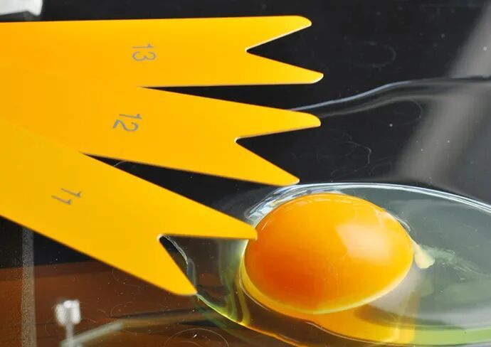 蛋黄颜色深≠营养高！一文说清买鸡蛋的关键，别再为颜色花冤枉钱！