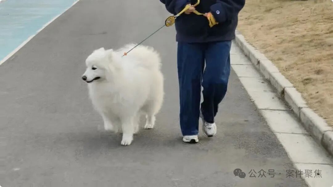 下月起实施， 这一行为最高可拘留10天罚1000元