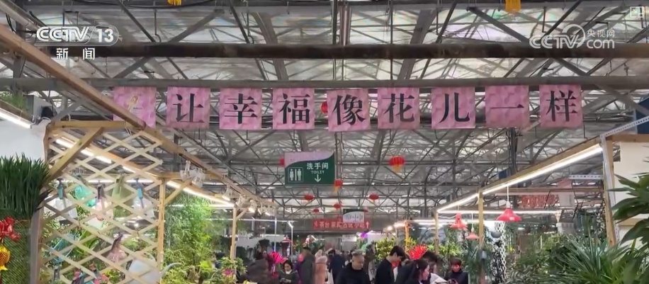 “鸿运当头”“幸福到来”鲜切花供销两旺 美丽经济“红火”出海开辟大市场