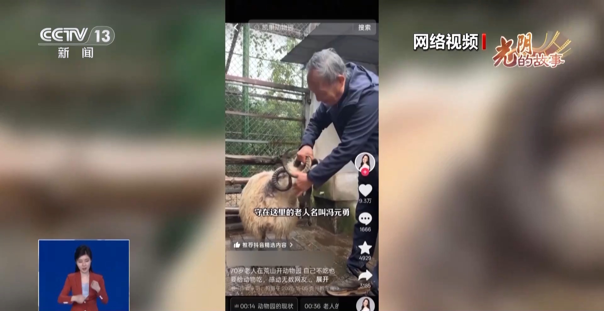 从默默无闻到圈粉无数 山林角落的“袖珍动物园”成了远近闻名的打卡地