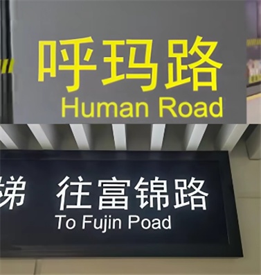 闹笑话！新站点竟藏这些“奇葩”BUG？上海地铁回应