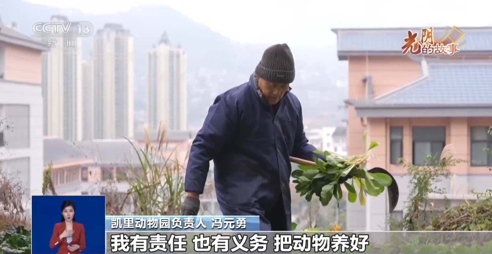 从默默无闻到圈粉无数 山林角落的“袖珍动物园”成了远近闻名的打卡地