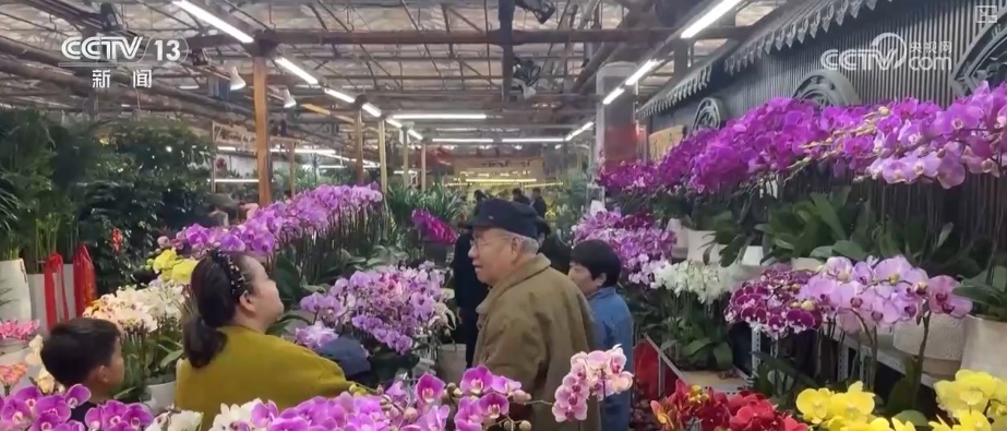 “鸿运当头”“幸福到来”鲜切花供销两旺 美丽经济“红火”出海开辟大市场