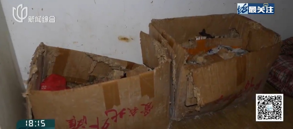 浓烈恶臭！四年不敢开窗通风！邻居家被撬开，眼前一幕惊呆众人……