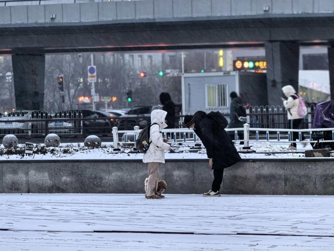 寒潮预警！2025年最后3天，一天比一天冷！